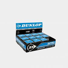 Balles Dunlop Points Bleu X12